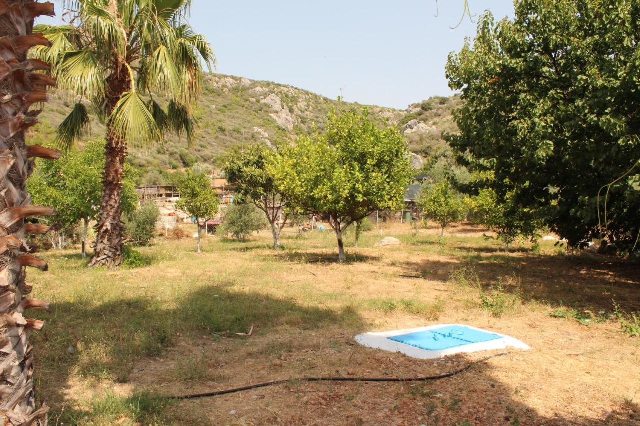 Patara Caretta Hotel Zewnętrze zdjęcie